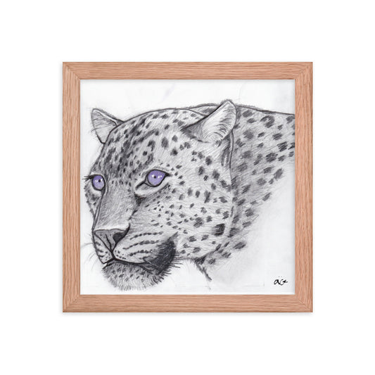 Purple Haze Eyes Jaguar