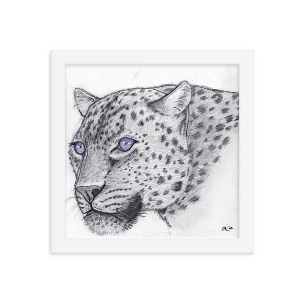 Purple Haze Eyes Jaguar