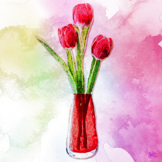 3 Red Tulips