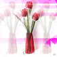 Tulip Reflections