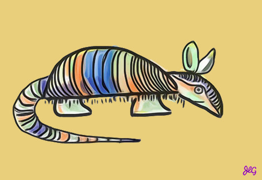 Colorful Armadillo