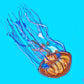 Lonely Jellyfish