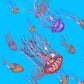 Jellyfish Family