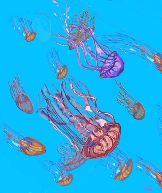 Jellyfish Family