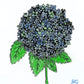 Hyacinth Flower