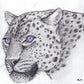 Purple Haze Eyes Jaguar
