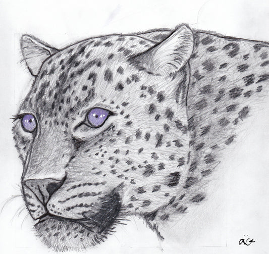 Purple Haze Eyes Jaguar